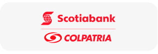 Logo Item